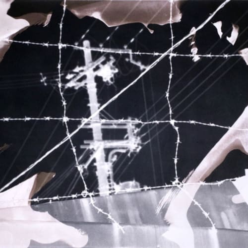 Robert Rauschenberg