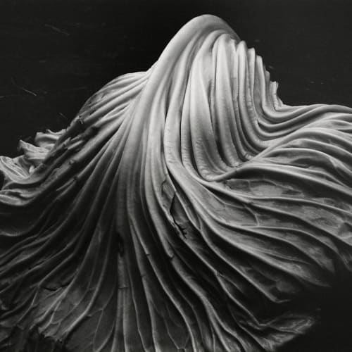 Edward Weston
