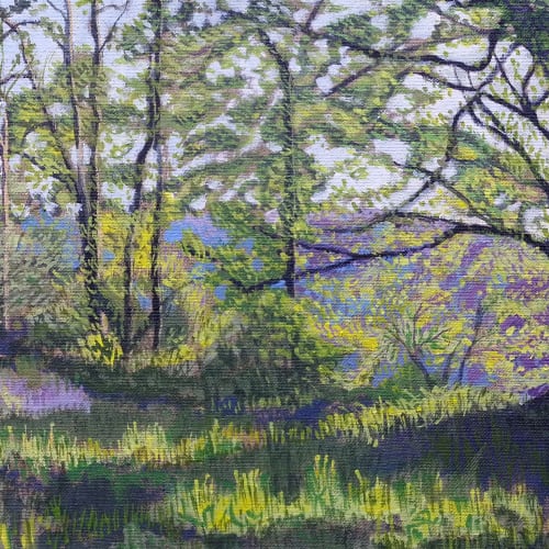 Kit Glaisyer, Bluebell Path up Lewesdon Hill, West Dorset, 2012