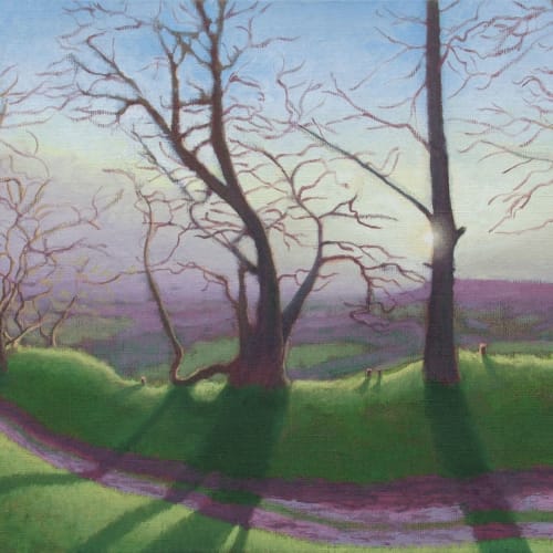 Kit Glaisyer, Winter shadows on Lewesdon Hill, West Dorset, 2011-12