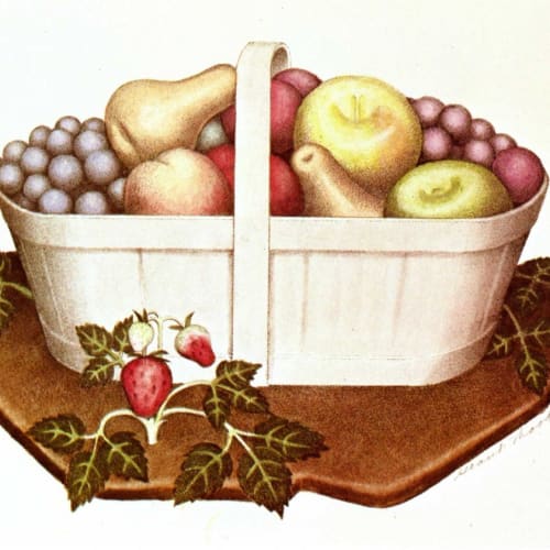 Grant Wood Fruits, 1939 Lithograph, hand colored by Nan Wood Graham Image 7 x 10 inches, Sheet Size: 11 ½ x 16 inches, Edition of 250 Signed lower right: Grant Wood For sale at the Surovek Gallery