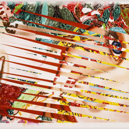 James Rosenquist (1933-2017) “Flowers and Females”, 1986 Monoprint/lithograph 60 1/8 x 70 ¾ inches #23/29 Signed, titled, and dated in pencil For sale at Surovek Gallery