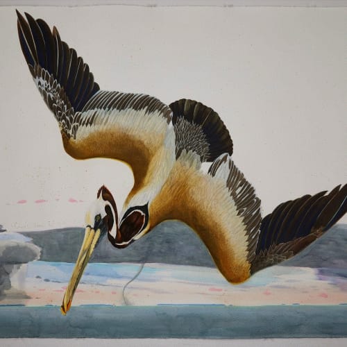 Scott Kelley PELICAN- BISCAYNE BAY, 2020 Watercolor and gouache on paper 55 1/4 x 77 1/2 inches Available at Surovek Gallery