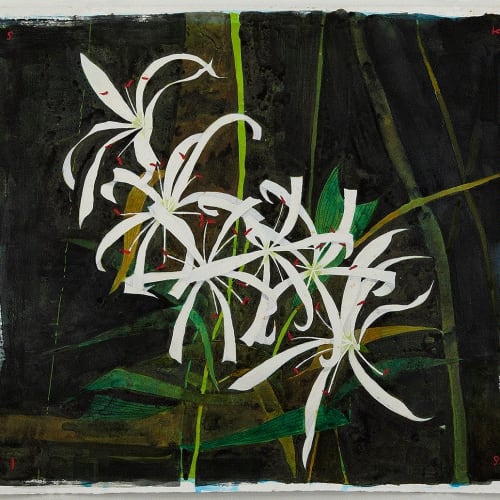Scott Kelley SWAMP LILY, BIG CYPRESS, 2019 Watercolor on paper 26 x 28 1/2 in 66 x 72.4 cm Available at Surovek Gallery
