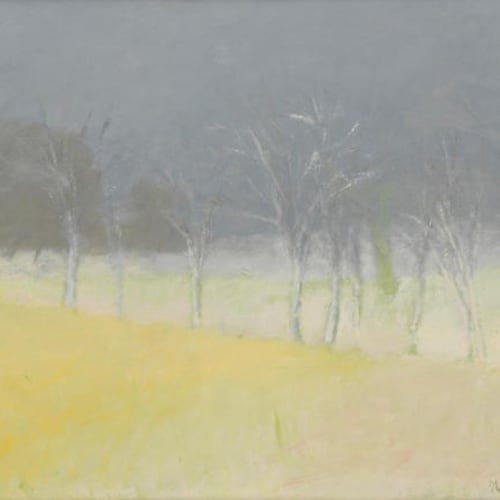 Wolf Kahn Ground Fog Oil on canvas 30 x 43 inches For sale at Surovek Gallery