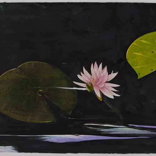 Scott Kelley Lily Pads, Loxahatchee, 2017 Watercolor on paper, 22 x 30 inches Titled, dated, signed lower center