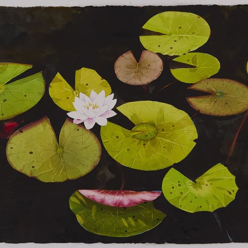 Scott Kelley The Riddle of the Lily Pads, 2017 Watercolor on paper 22 x 30 inches Titled, dated, signed lower center For sale Surovek Gallery