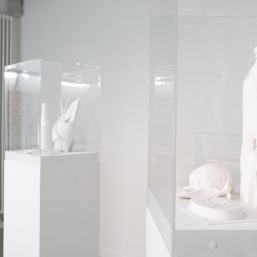 Angélique, série des "Nourritures du futur", crédit photo Estelle Lutaud, courtesy Centre d'Art contemporain L'ar[T]senal