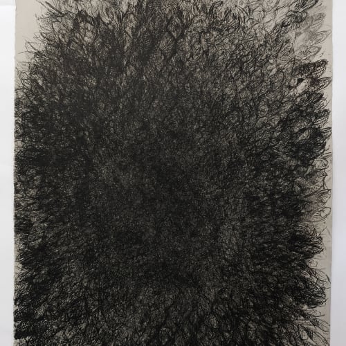 Helianthus 9, Lithograph on Somerset Paper, 76 x 56 cms, 2004