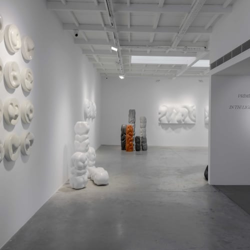 Işıl Kapu, In the Light of Primitive Traces, 16.03-19.04.2023