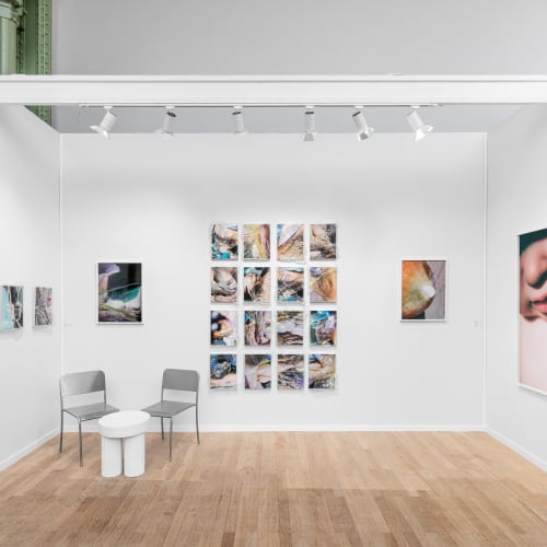 Lucile Boiron, Stand overview, 2024