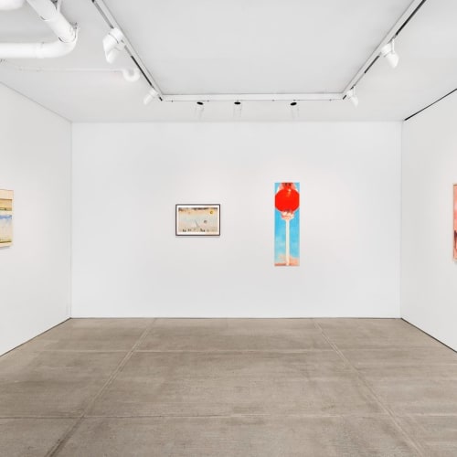 contemporary exhibition at gallerie arte bergamo showcasing robert feintuch and saul steinberg