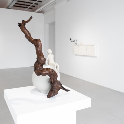 Yom Bo Sung
