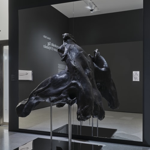 Exhibition View "Michael Müller: The Given Day. Castor & Polydeuces" Photo: Städel Museum – Norbert Miguletz