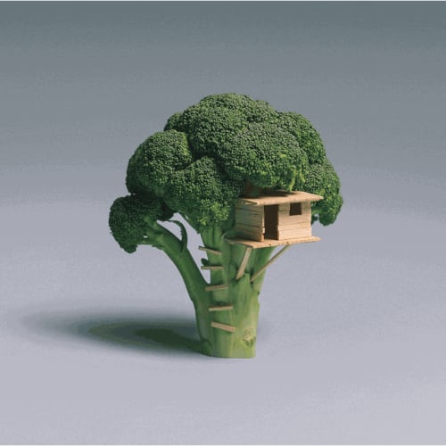 Brock Davis Broccoli Treehouse, 2011 Archival print 11 3/4 x 16 1/2 in 29.7 x 41.9 cm Edition of 100