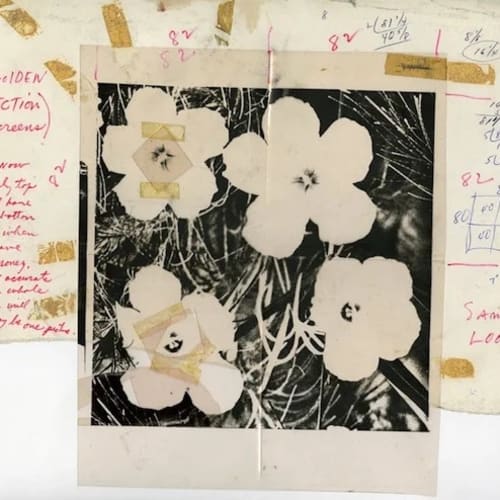 Andy Warhol Flowers Working materials