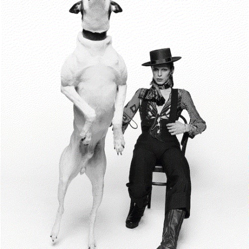 Terry O'Neill David Bowie, 1974 Gelatin Silver Print 12 x 16 Inches 24 x 34 Inches 30 x 40 Inches Lifetime Edition of 50, Signed