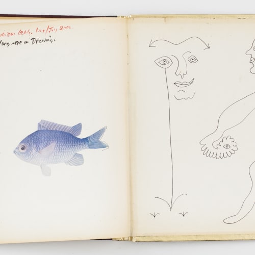 Inside pages of book, watercolor of blue fish on left page, simple pen drawing of naked man on right page