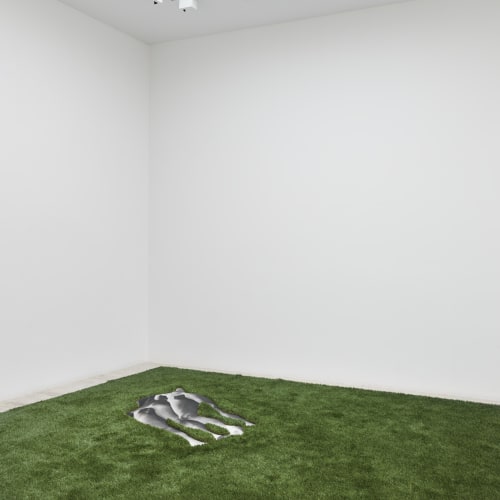 The Photographic Object, 1970 (2014) (installation view). Courtesy the artist and Hauser & Wirth, New York.