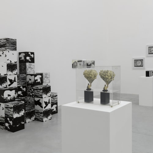 The Photographic Object 1970 (2013) (installation view). Courtesy of Le Consortium Museum, Dijon, France.