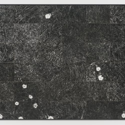Lew Thomas, GRASS (1973). 36 gelatin silver prints, 47 1/4 x 59 3/4 inches. Image courtesy of the artist and...