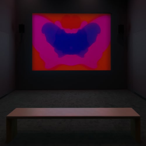 Pat O'Neill, Three Answers (2019) (installation view). Courtesy of San Francisco Museum of Modern Art, CA.