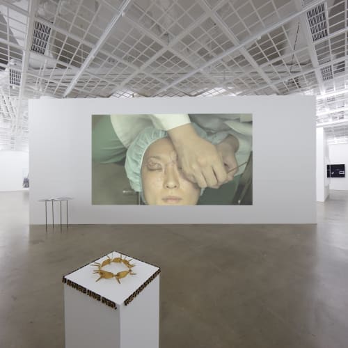 Installation view of The Emotion of Land, THE CUT by Post Cosmetic, at the exhibition‘Money Without Nationality’ Art Sonje Center, 2017,[the exhibition space under normal light condition] https://vimeo.com/187520217