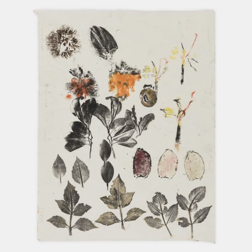 Simryn GILL, Maria's Garden Study, 2020-2
