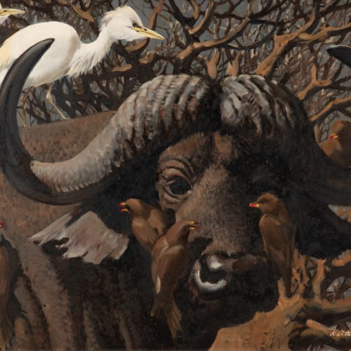 <div class="artist">Keith Hope Shackleton, MBE</div><div class="title_and_year"><span class="title_and_year_title">Cape buffalo ridden by Western Cattle Egrets and Yellow-billed Oxpeckers</span>, <span class="title_and_year_year">1967</span></div><div class="signed_and_dated">signed and dated 'Keith Shackleton 67' (lower right)</div><div class="medium">oil on board</div><div class="dimensions">18 ¼ x 24 ¼ in. (46.3 x 61.5 cm)</div>