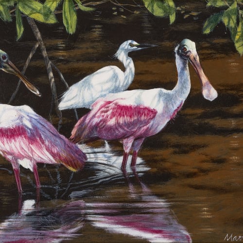 Matthew Hillier - Roseate spoonbills and snowy egret