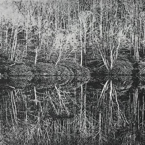 Trevor Price print in black and white drypoint technique of trees and bushes reflected in water