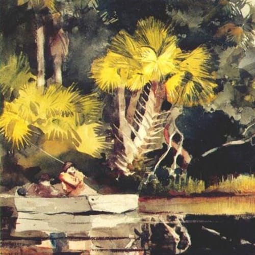 Winslow Homer Homosassa Jungle, 1904
