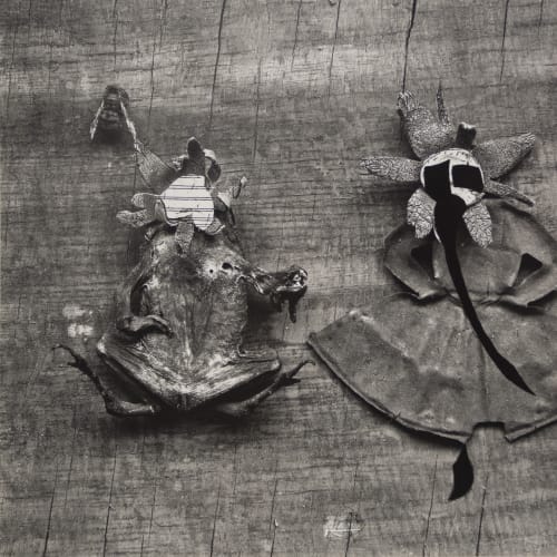 Frederick Sommer