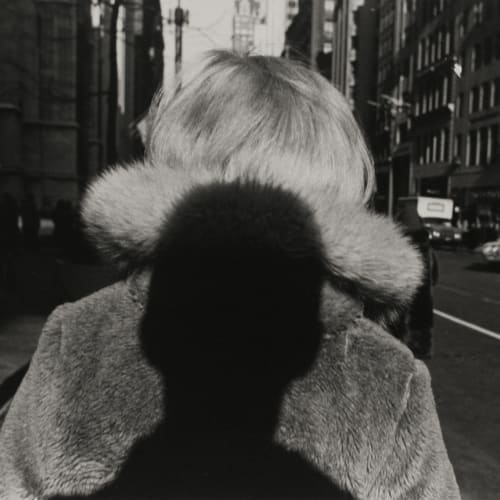 Lee Friedlander