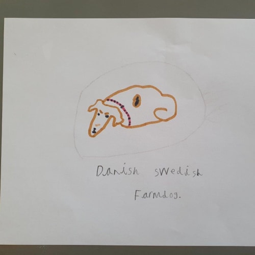 A child's drawing of a sleeping dog, curled it in its basket