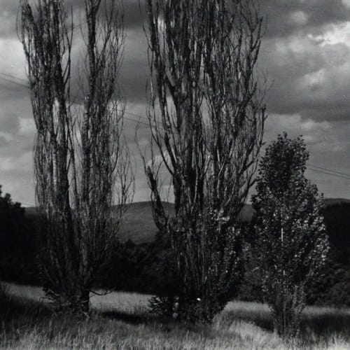Alfred Stieglitz