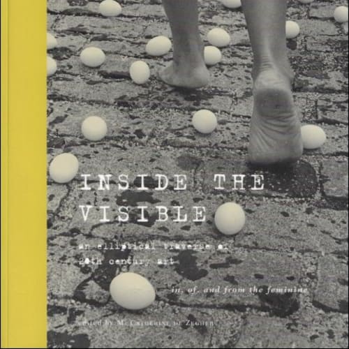 Catherine de Zegher, Inside the Visible: An Elliptical Traverse of 20th Century Art. In of and from the Feminine. Published by Gent Les Editions La Chambre, 1996.