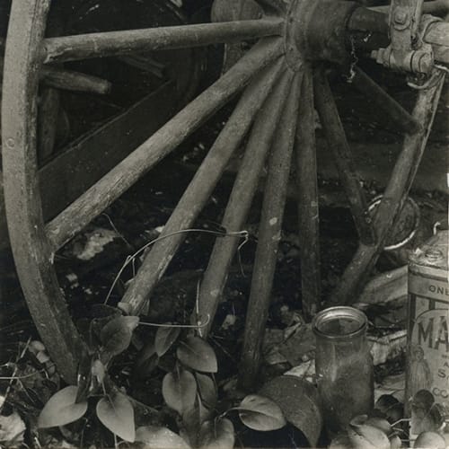 Consuelo Kanaga