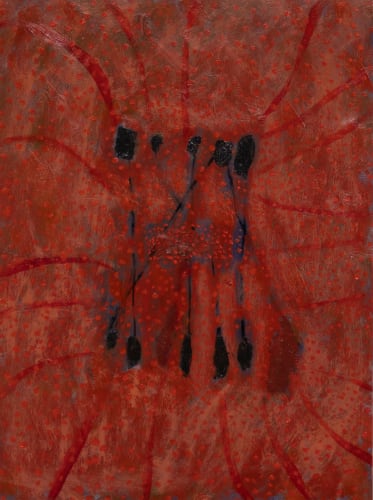 Hiu Tung Lau, Spicy memory, 2023