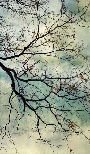 Wendi Schneider, A Stained Glass World, 2020