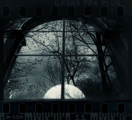 Jane Burton It is Midnight, Dr._ _, image 1, 2016 c-type photograph 45 x 50cm Edition of 3 plus 1 artist's proof