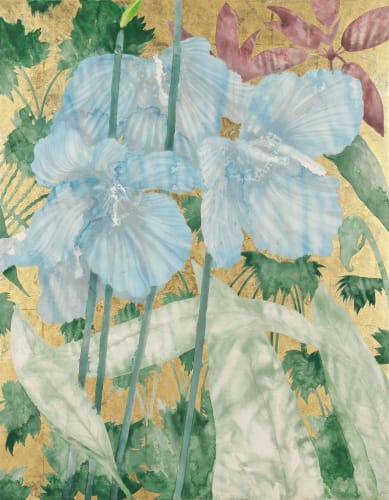 TIMOTHY BETJEMAN, Meconopsis Au/b*n