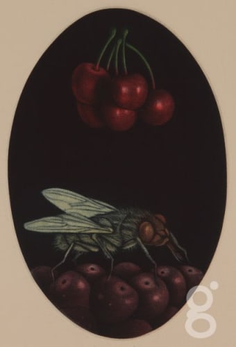 Hachmi Azza, Cerises