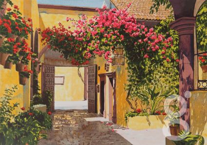 Ilana Richardson, San Miguel