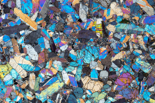 Neil Buckland, Nakhla