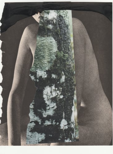 Sondra Meszaros, Bound #18, 2016