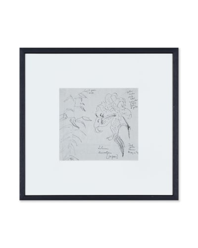 Clifford & Rosemary Ellis, Lilium Auratum II