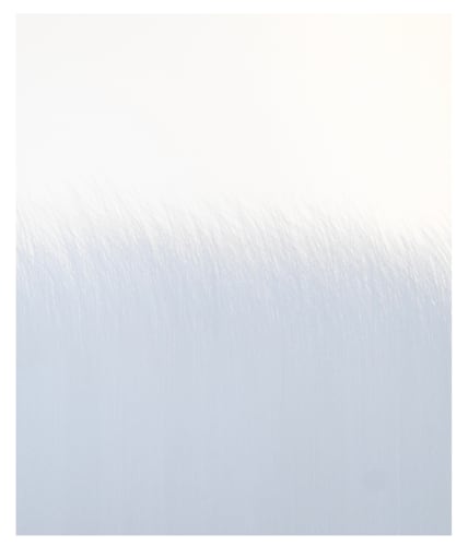 Robinson Haas, 100324, 2024