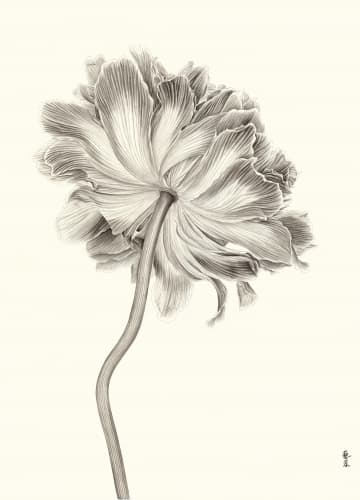 Zhang Yirong, 花卉, 2020