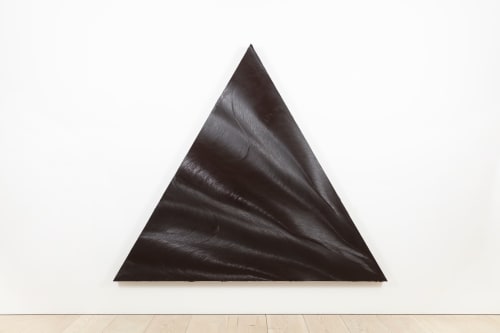 Jason Martin Brasileiro, 2007 Oil on aluminium 98 3/8h x 114 1/8w x 6 2/8d in 250.0h x 290.0w x 16.0d cm